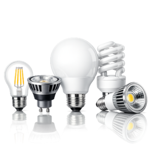 Bulbs & Accessories