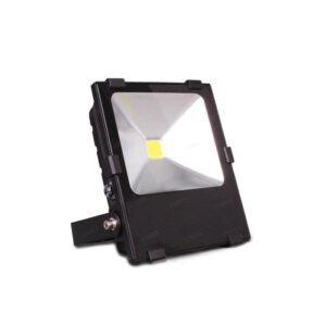 C-Torch Floodlight - 30W, 50W & 100W
