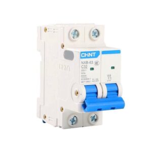Chint Miniature Circuit Breaker 2-Pole Type C 6kA - NXB-63H
